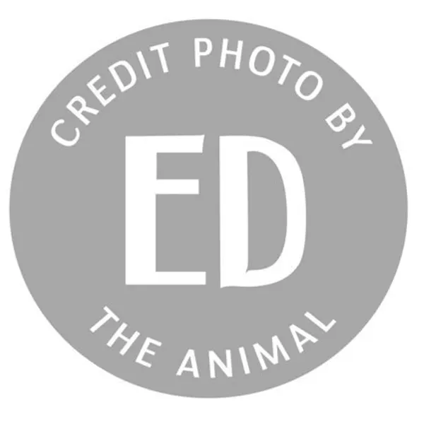 edtheanimal OnlyFans profile photo