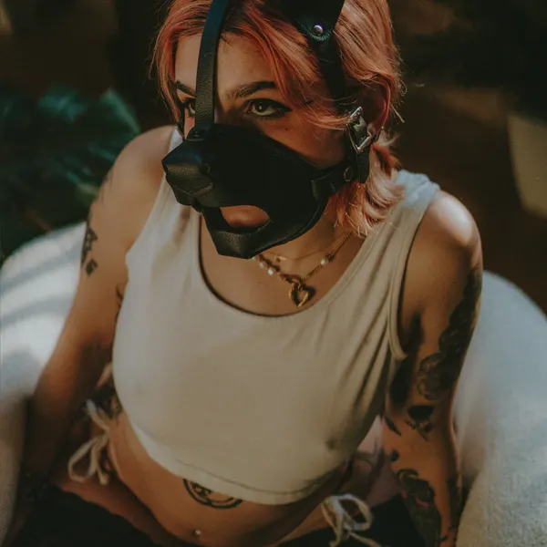 squidkore OnlyFans profile photo