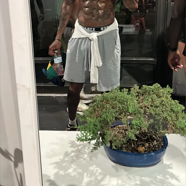 thebigguru OnlyFans profile photo
